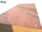 Smaller Size Bintangor Plywood Used for Make Door Skin