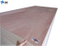 Cheap Price Bintangor Plywood for Furniture