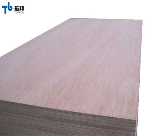 3mm/4mm/5mm/8mm /12mm/15mm Hot Sale Bintangor Face Commercial Plywood with High Quality