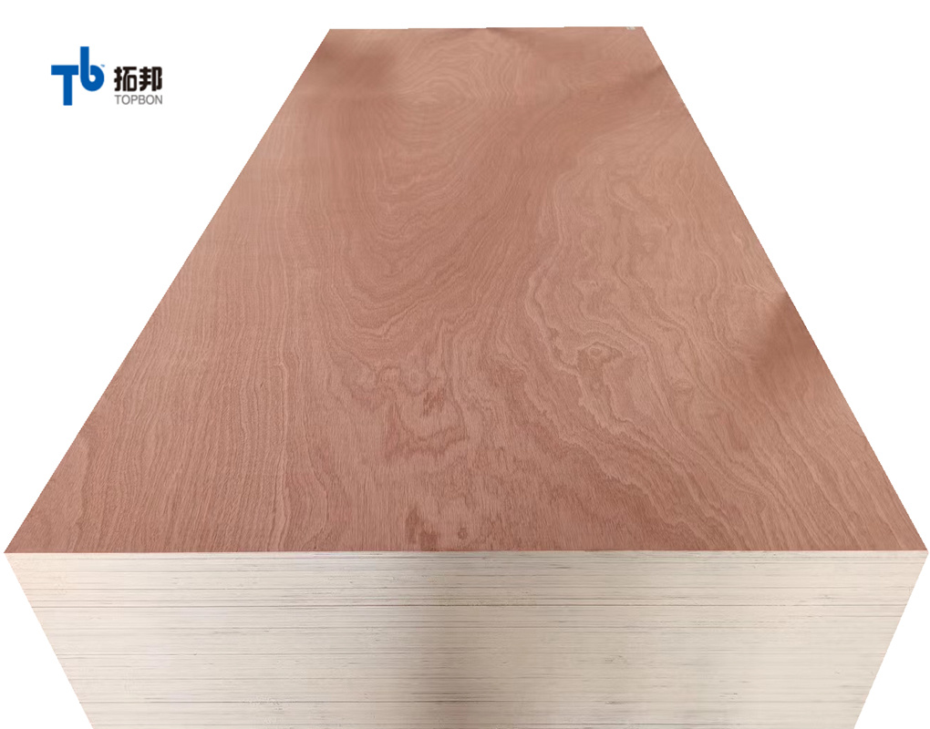 4.6mm Sapele Plywood/Commercial Plywood for Mexico Market