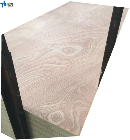 4.6mm Sapele Plywood/Commercial Plywood for Mexico Market