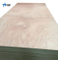 Top Quality Sapele Plywood for Foreign Market