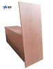 Plywood Door For Foreign Market