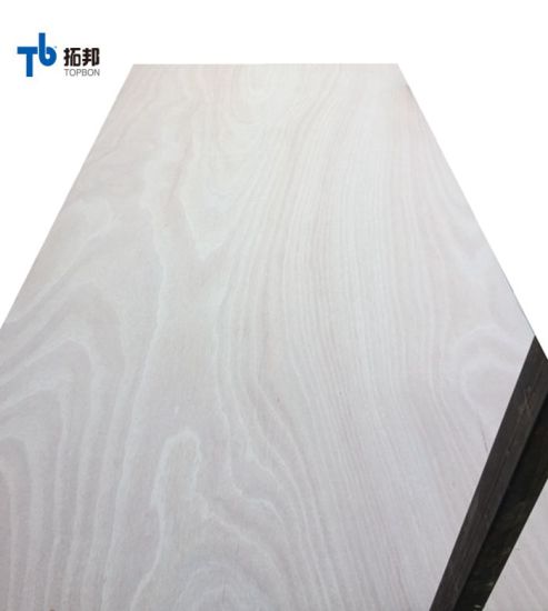 Poplar Core Okume Plywood BB/CC Faced
