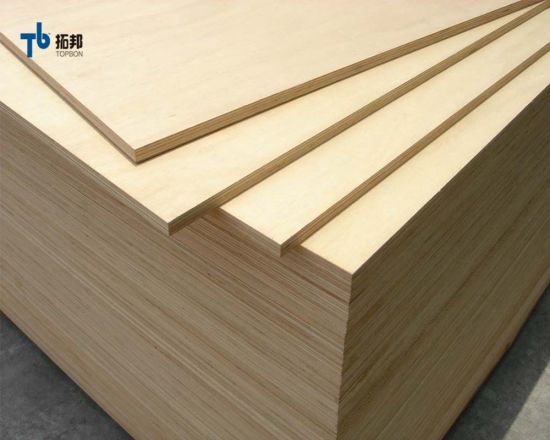 Commercial Plywood/Furniture Plywood/Plywood with Competitive Price