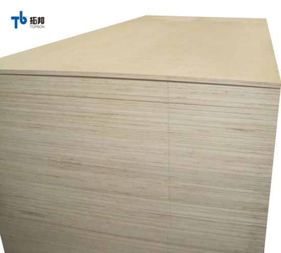 12mm Birch Plywood/ Plywood Sheet with High Quality