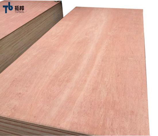 Pencil Cedar Plywood /Bintangor Plywood Used for Furniture