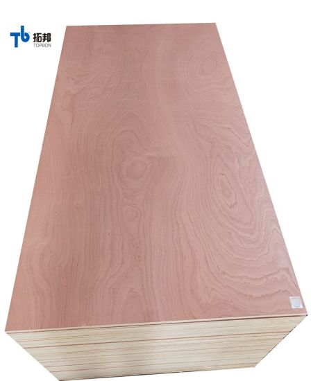 Top Quality Sapele Plywood with Wholesale Price