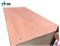 18mm Plywood/Commercial Plywood with Good Quality