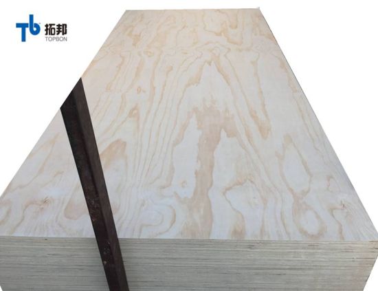 Customized Plywood Radiate Pine Face Plywood Poplar Core Plywood