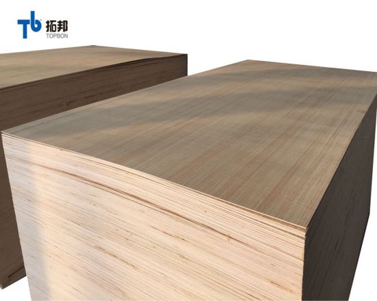 Low Price EV Poplar Plywood for Furniture