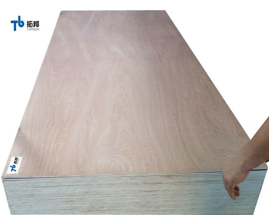 Competitive Price Natural Sapele Plywood in Sale