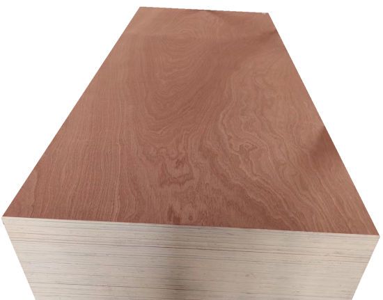 4.6mm Sapele Plywood/Commercial Plywood for Mexico Market