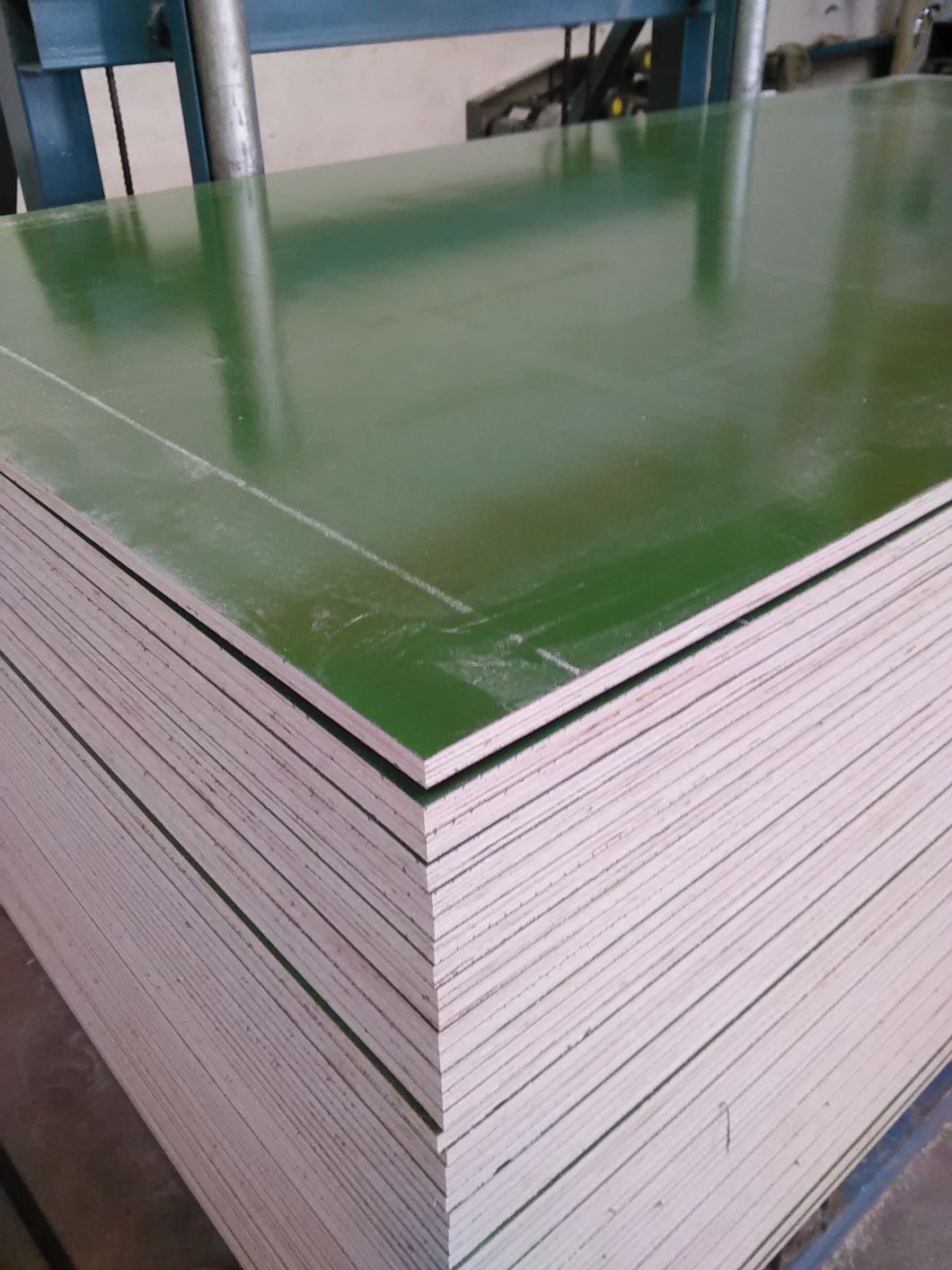 PP Plastic Plywood/Plastic Plywood Sheet with High Quality
