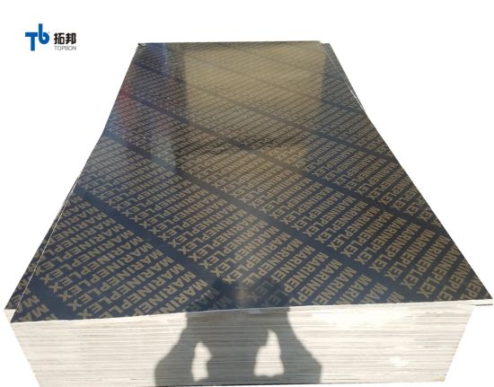 Formwork Plywood/Construction Plywood/Marine Plywood with Thickness 12/15/18mm