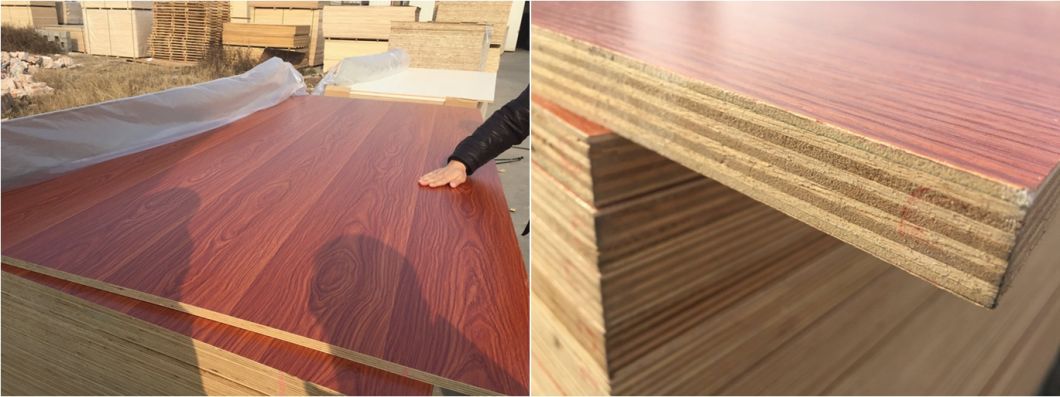Melamine Plywood Board with Good Price