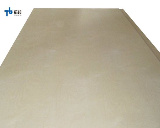 6mm 18mm Birch Plywood, CDX Plywood with Good Price