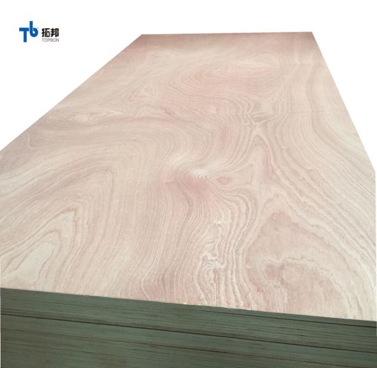 Top Quality Sapele Plywood with Wholesale Price