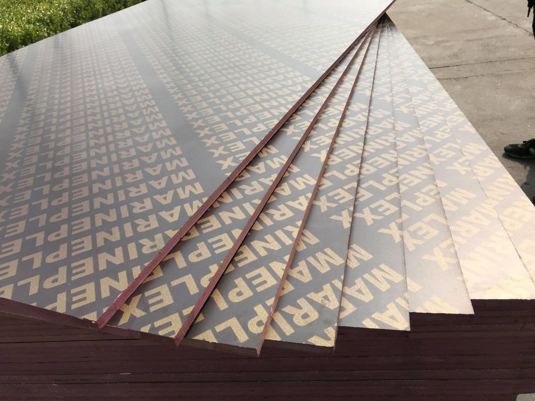 Top Quality 18mm Shutter Film Faced Plywood From China Factory